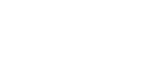 ICE Logo White